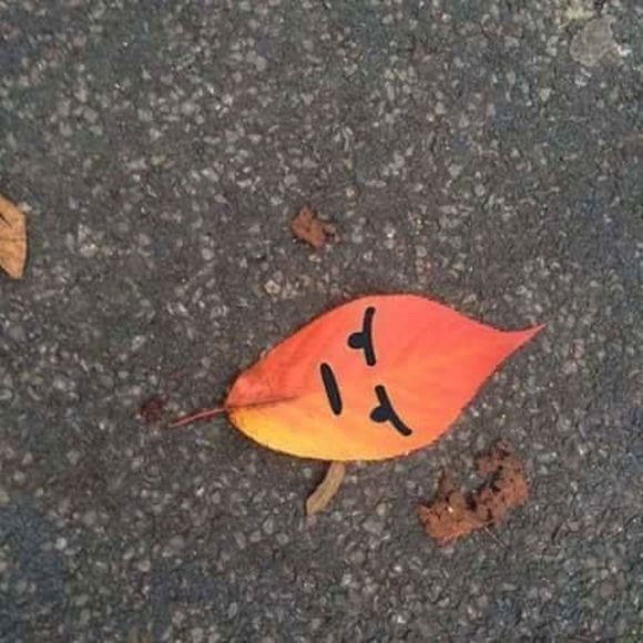 Meet your Posher, Matthew - Picture 1 of 1